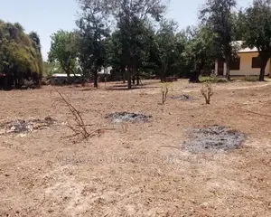 Plot for Sale at Mbezi Beach Africans