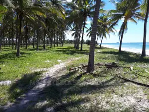 Beach Plot for Sale at Kigamboni Gezaulole