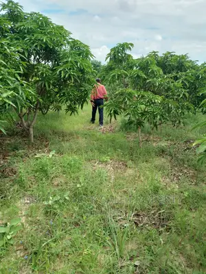 Farm for Sale at Bagamoyo Fukayosi