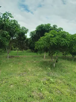 Farm for Sale at Bagamoyo Fukayosi