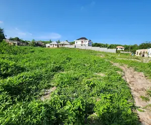 Plot for Sale Different Size at Madale