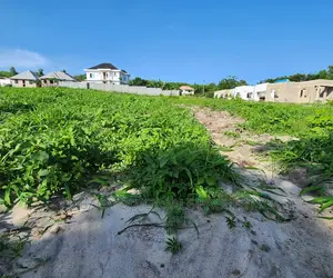Plot for Sale Different Size at Madale