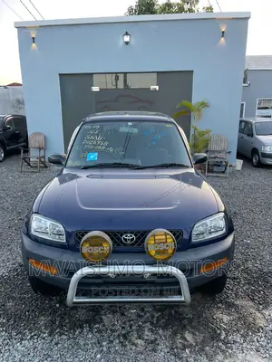 Toyota RAV4 1996 Blue