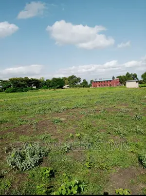 Plots and Farms in Arusha and Kilimanjaro