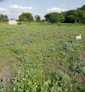 Plots and Farms in Arusha and Kilimanjaro