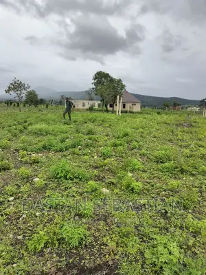 Viwanja Vimepimwa Kisheria Arusha Na Kilimanjaro