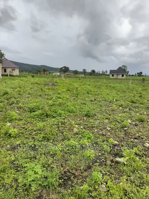 Viwanja Vimepimwa Kisheria Arusha Na Kilimanjaro