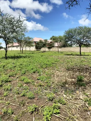 Land for Sale Arusha and Kilimanjaro