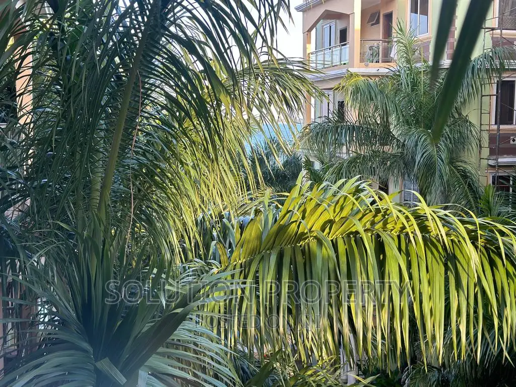 Furnished 2bdrm Apartment in Mikocheni for rent