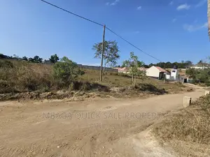 Go Down for Rent at Mbagala Zakiemu