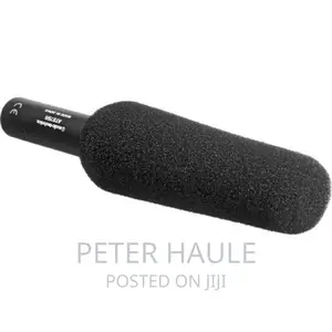 AT875R - Line + Gradient Condenser Microphone