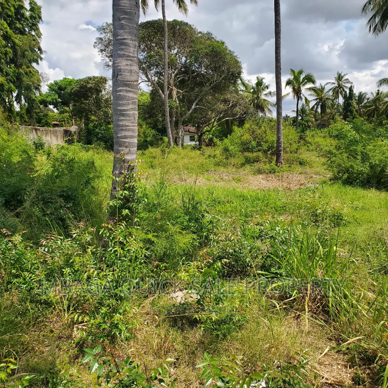 Beach Plot for Sale at Kigamboni Mji Mwema
