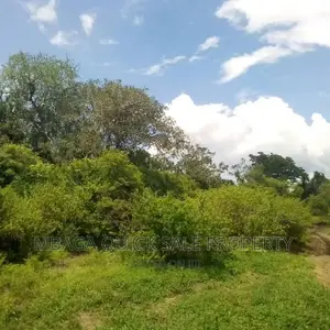 Plot Inauzwa Ipo Misugusugu Kibaha