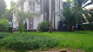 4bdrm House in Mikocheni for rent