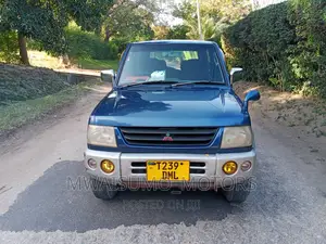 Mitsubishi Pajero 2000 Blue