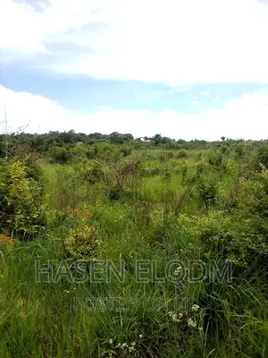 Shamba 2.6 Acre Linakodishwa Farm for Rent