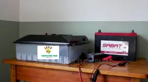 Super 60 Eggs Available