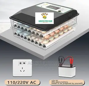 Super 60 Eggs Available
