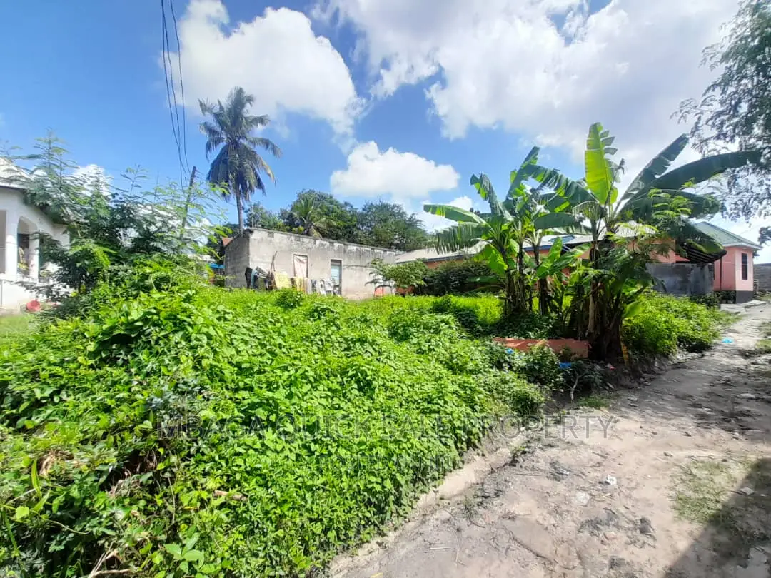 Plot for Sale at Kibanda Cha Mkaa
