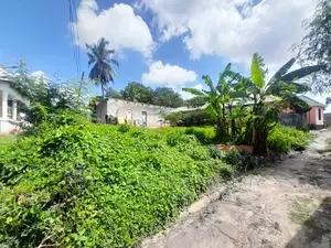 Plot for Sale at Kibanda Cha Mkaa