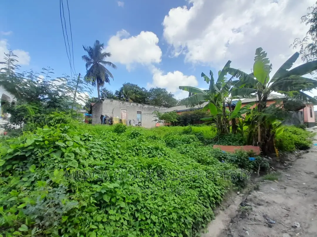 Plot for Sale at Kibanda Cha Mkaa
