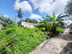Plot for Sale at Kibanda Cha Mkaa