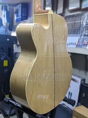 Gibson Guitar