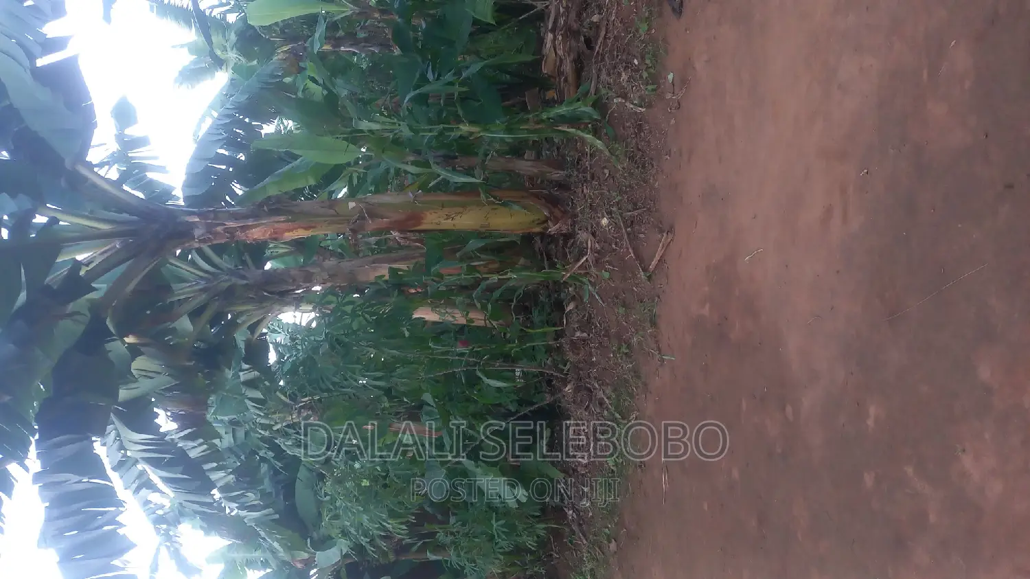 3bdrm House in Kibaha Kwa Mfipa for sale