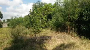 3bdrm House in Tegeta Namanga, Bunju for sale