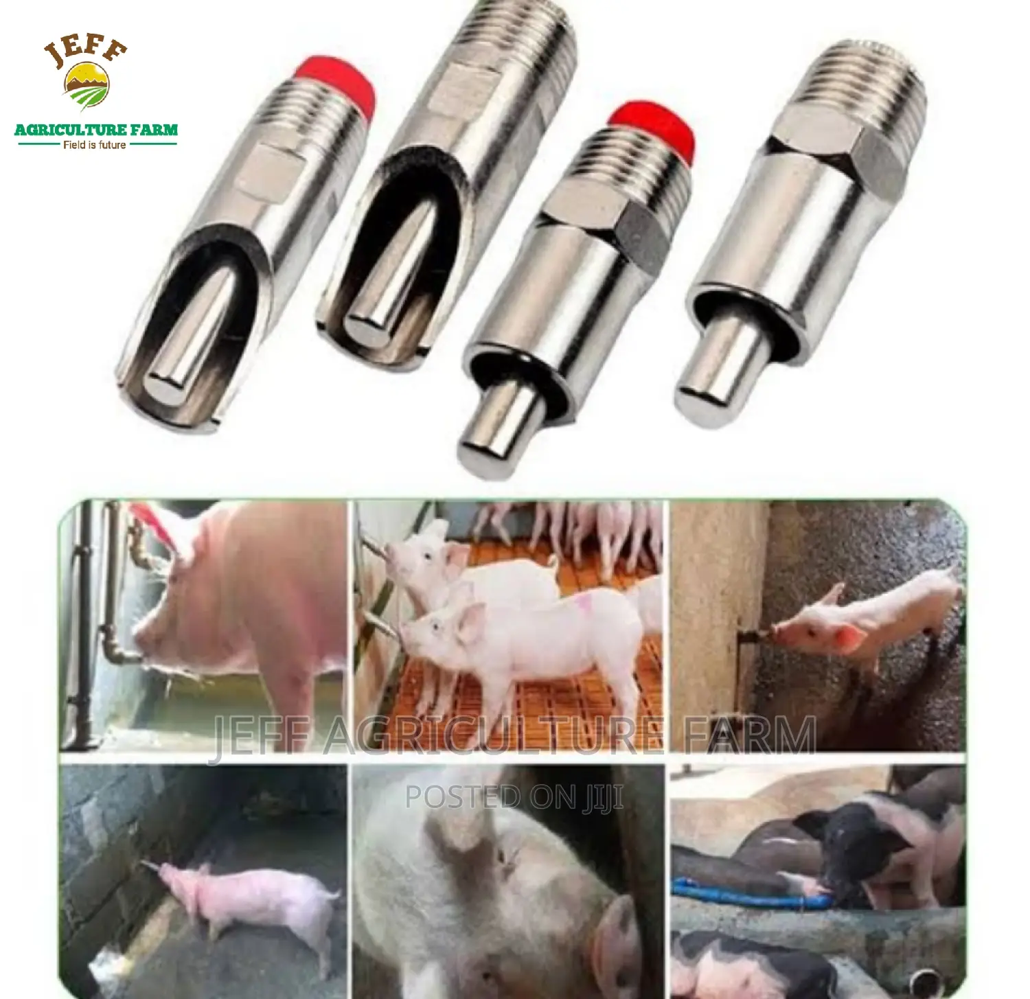 Favorite Pig Nipples