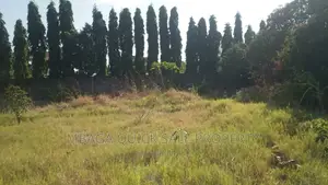 Big Plot for Rent at Mbezi Beach