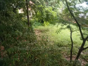 Big Plot for Rent at Mbezi Beach