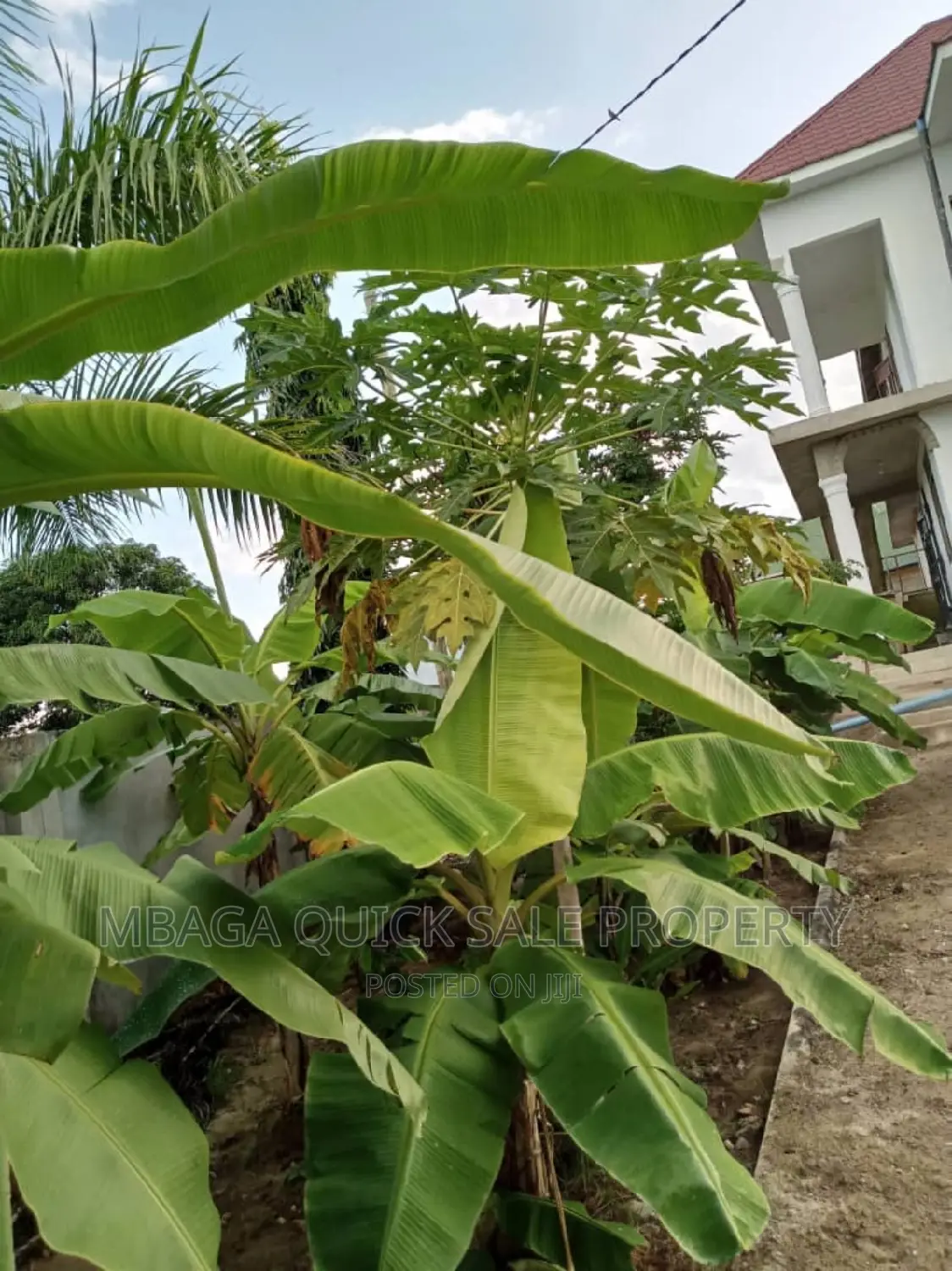 4bdrm House in Goba for sale