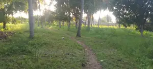 Beach Plot for Sale at Kigamboni Mjimwema
