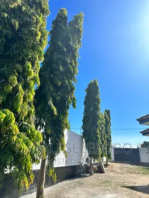 6bdrm Bungalow in Mbweni for rent