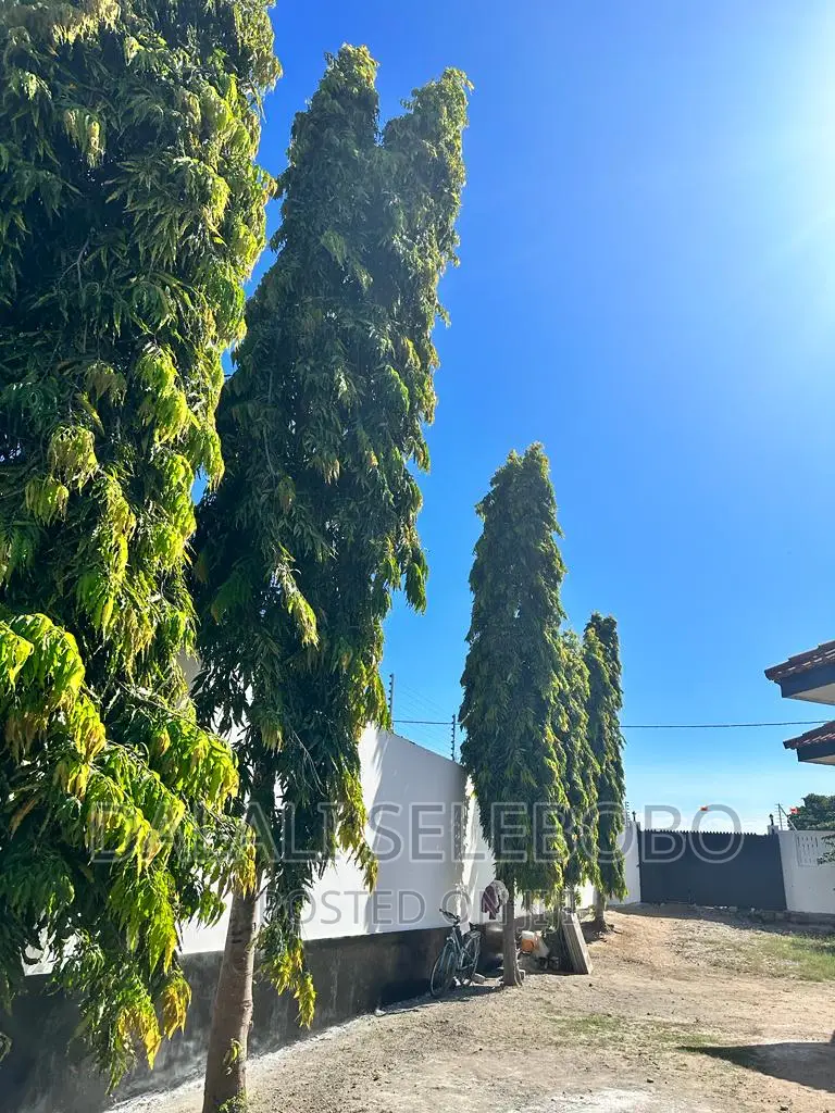 6bdrm Bungalow in Mbweni for rent