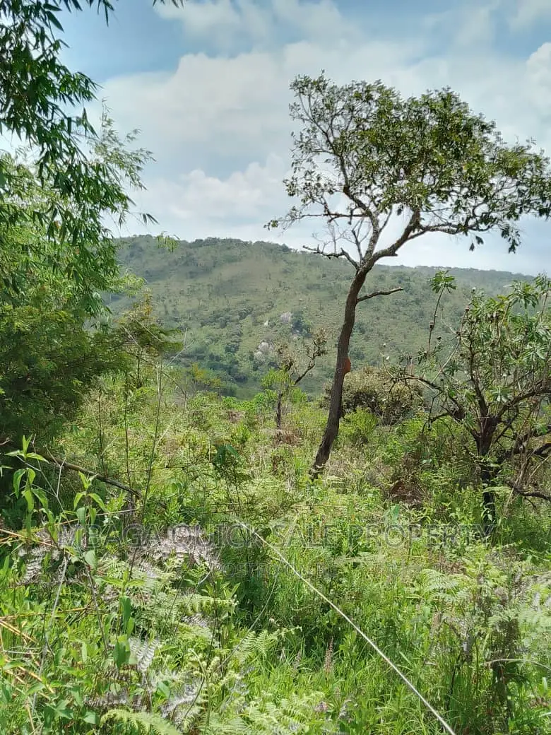 Plot for Sale at Njombe for Avocado Plantation