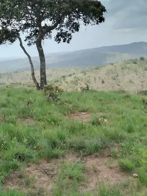 Plot for Sale at Njombe for Avocado Plantation