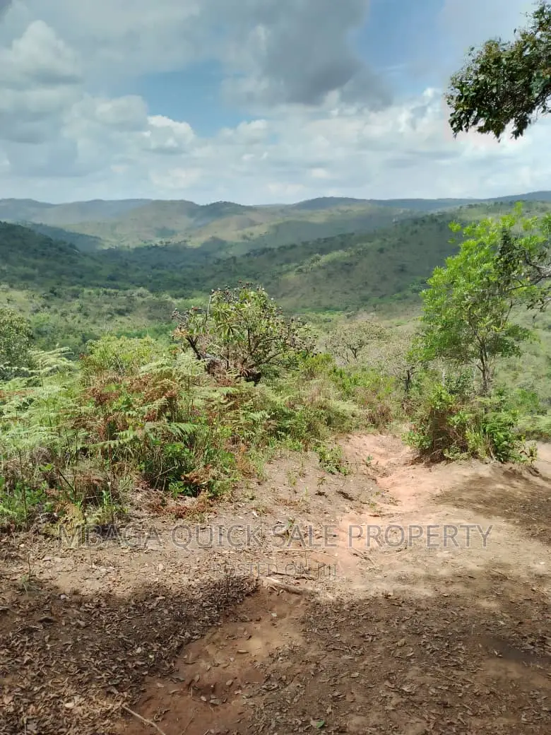 Plot for Sale at Njombe for Avocado Plantation