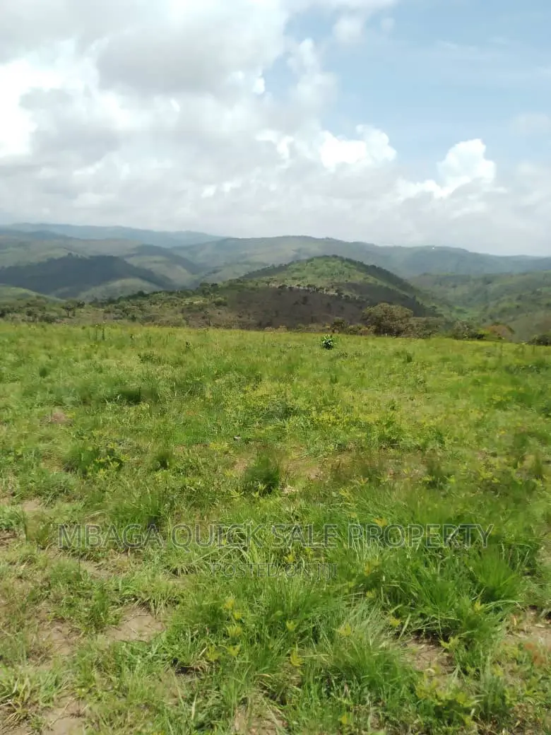 Plot for Sale at Njombe for Avocado Plantation