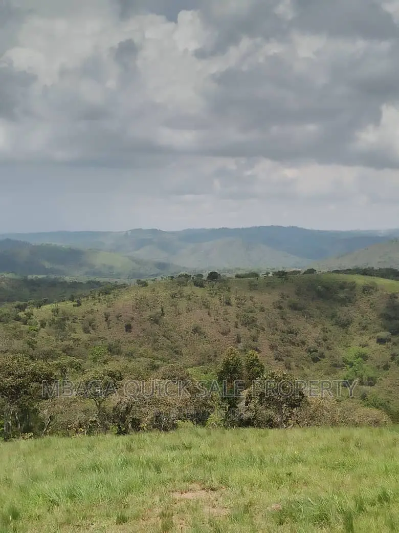 Plot for Sale at Njombe for Avocado Plantation
