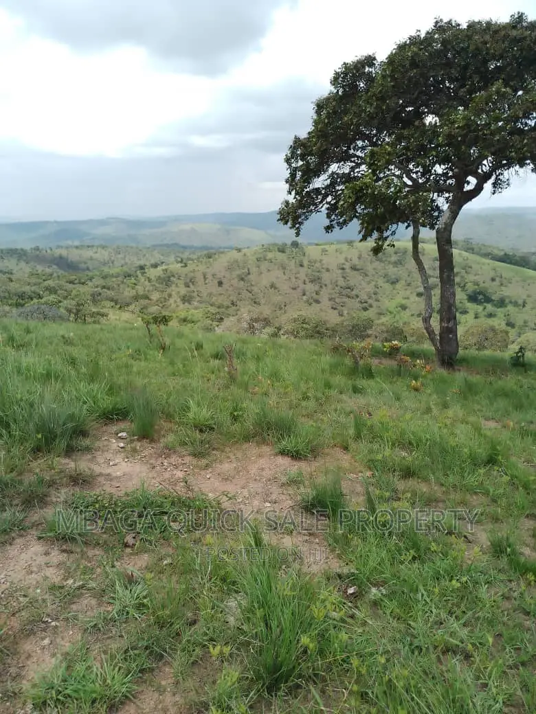 Plot for Sale at Njombe for Avocado Plantation