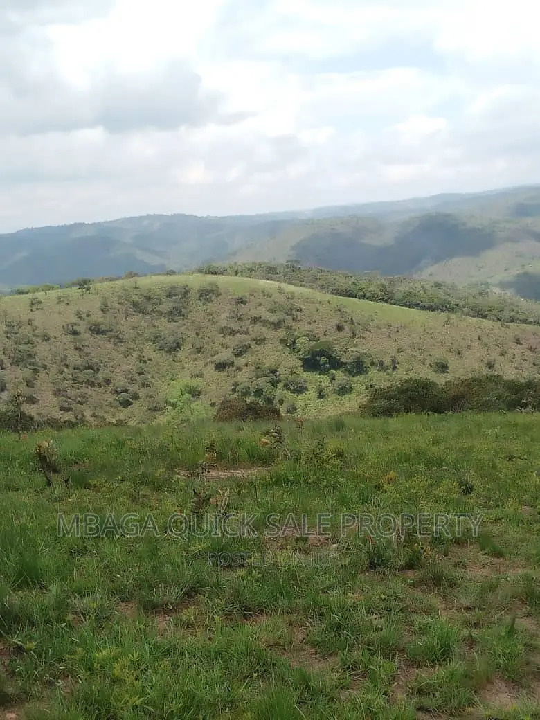 Plot for Sale at Njombe for Avocado Plantation