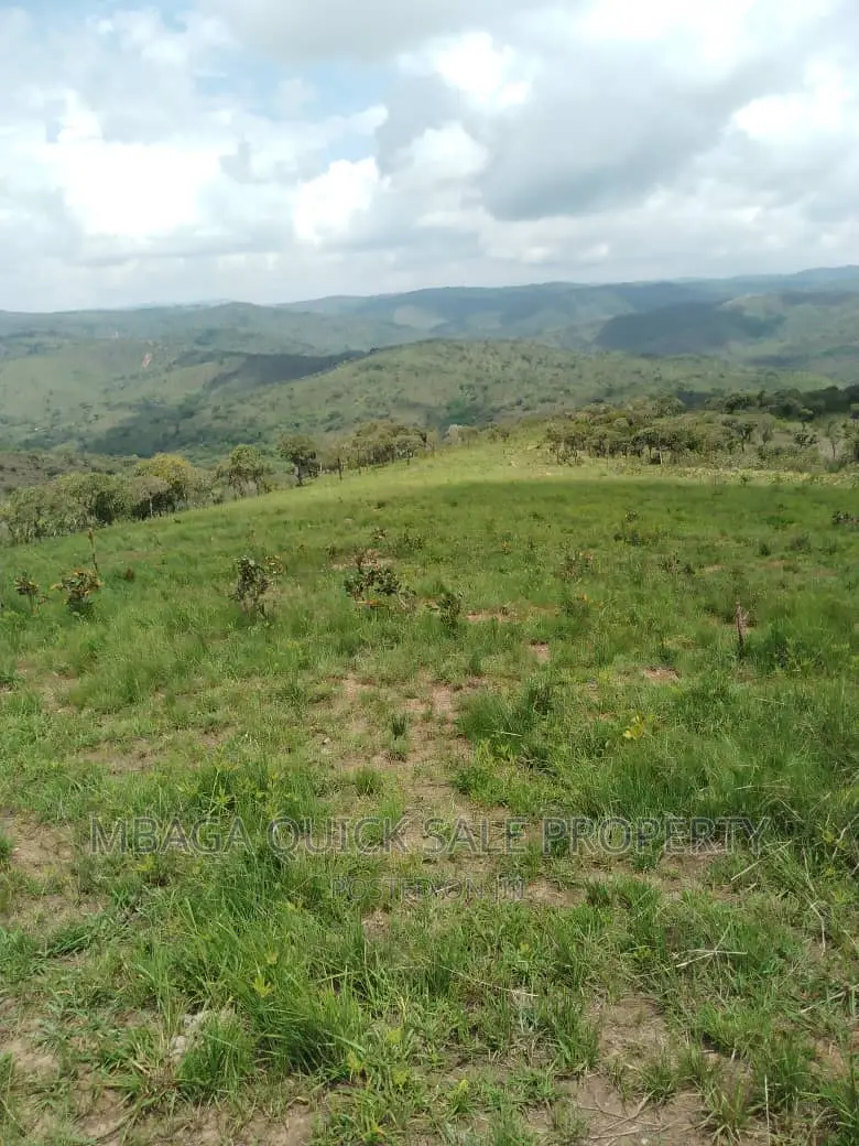 Plot for Sale at Njombe for Avocado Plantation