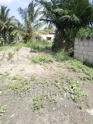 Kiwanja Sqmita 450 Kinauzwa Ml 12.5 Ukonga Kanyigo Mkolemba.
