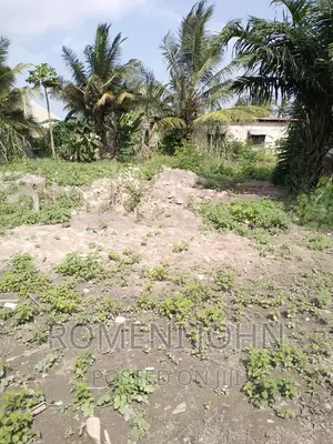 Kiwanja Sqmita 450 Kinauzwa Ml 12.5 Ukonga Kanyigo Mkolemba.