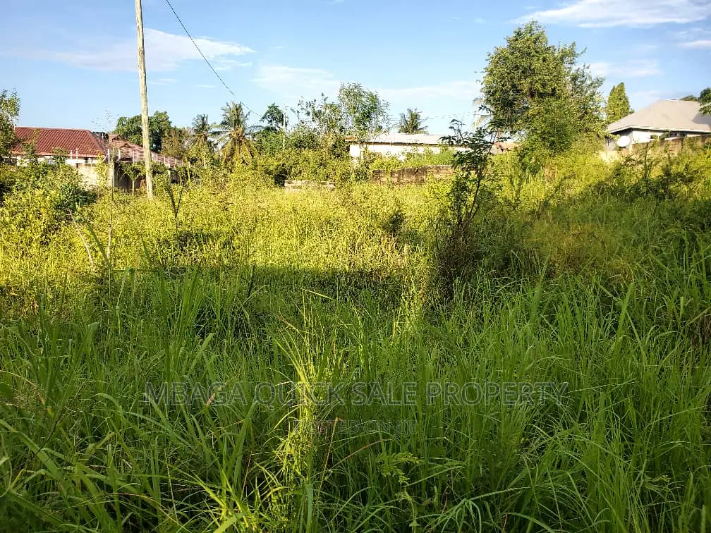 Plot for Sale at Mivumoni