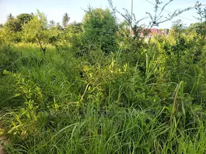 Plot for Sale at Mivumoni