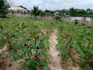 Kiwanja Kinauzwa Kipo Mbezi Kimara