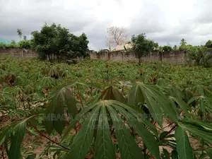 Kiwanja Kinauzwa Kipo Mbezi Kimara